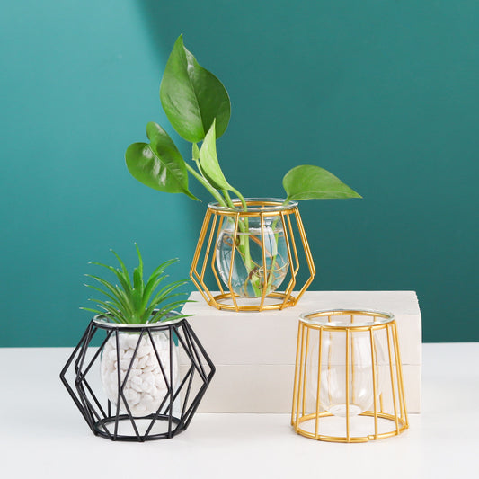 Minimalistische Hydroponische Glazen Vaas – Geometrisch Design (Zwart/Goud)