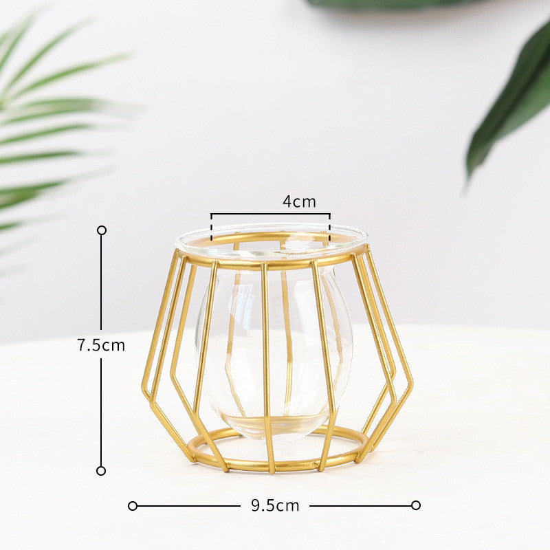 Minimalistische Hydroponische Glazen Vaas – Geometrisch Design (Zwart/Goud)