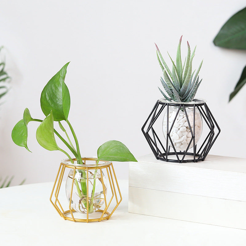 Minimalistische Hydroponische Glazen Vaas – Geometrisch Design (Zwart/Goud)