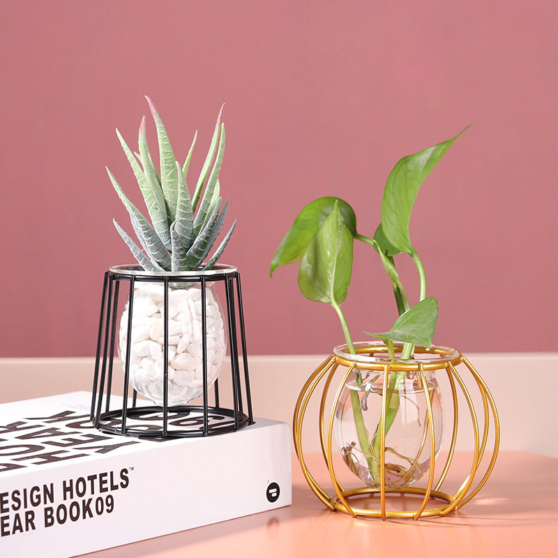 Minimalistische Hydroponische Glazen Vaas – Geometrisch Design (Zwart/Goud)